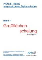 Großflächenschalung